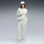 PUMA Loungewear  Standard Sweat Suitt FL cl